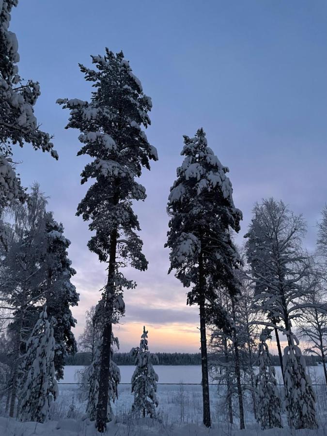 Rieskapaikka Villa Koivu Kültér fotó