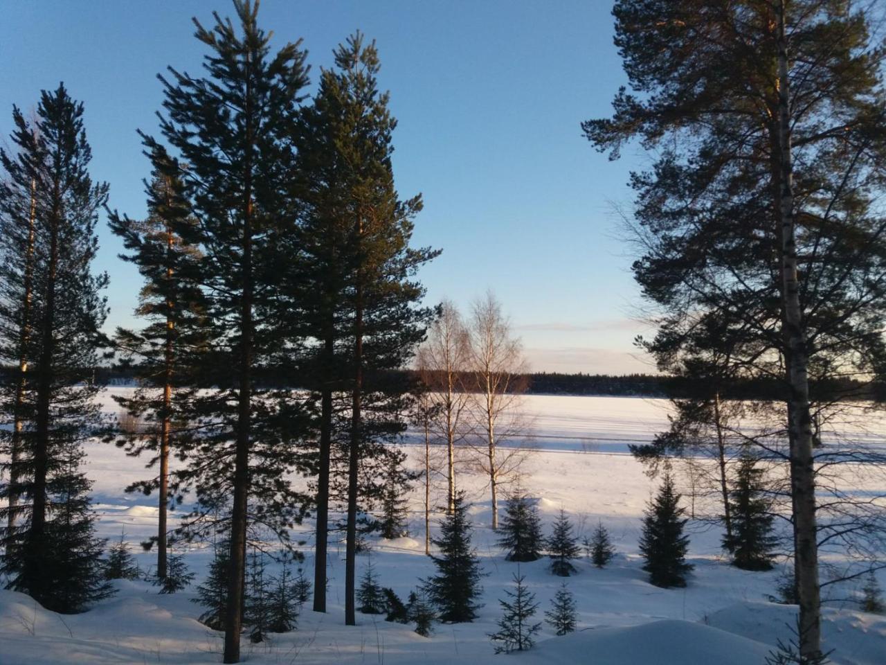 Rieskapaikka Villa Koivu Kültér fotó